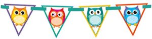 carson dellosa banner, colorful owls (102038)