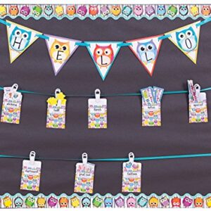 Carson Dellosa Banner, Colorful Owls (102038)