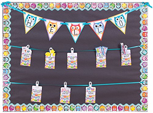 Carson Dellosa Banner, Colorful Owls (102038)