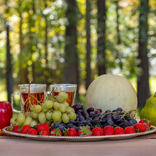 SterlingCraft Serving Tray - Oblong Decorative Food Platter for Thanksgiving, Party, Catering - Cake, Appetizer, Snack, Tea Plate - No Polishing, Silver - 9 X 6 Inches