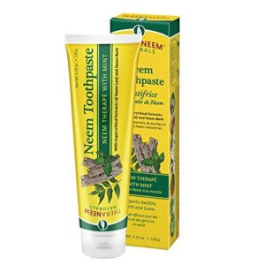 theraneem neem therape toothpaste, mint | supports healthy teeth, gums & a fresh mouth | no fluoride & vegan | 4.23 oz