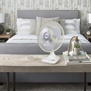 Air King 9106 16-Inch 3-Speed Oscillating Table Fan