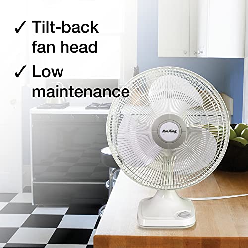 Air King 9106 16-Inch 3-Speed Oscillating Table Fan