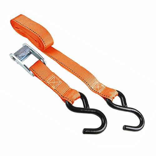 HAMPTON PROD Keeper – 1”x 10' Cam Buckle Tie-Down, 4 Pack - 300 lbs. Working Load Limit and 900 lbs. Break Strength