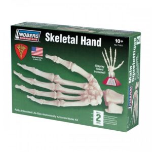 lindberg skeletal hand