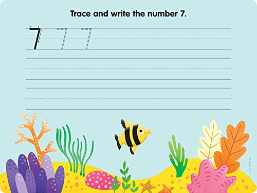 Learning Mats: Numbers & Counting