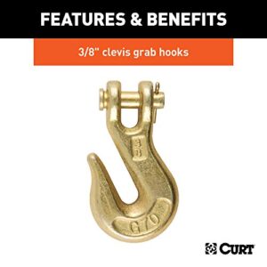 CURT 80309 14-Foot Transport Binder Chain, 3/8-Inch Clevis Hooks, 26,400 lbs Break Strength, Load Tie-Down, Trailer, Flatbed