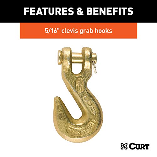 CURT 80306 16-Foot Transport Binder Chain, 5/16-Inch Clevis Hooks, 18,800 lbs Break Strength, Load Tie-Down, Trailer, Flatbed