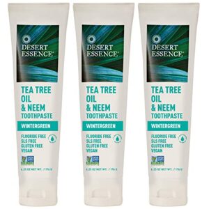 desert essence tea tree oil & neem toothpaste – 6.25 ounce – pack of 3 – refreshing rich taste – baking soda & essential oil of wintergreen – antiseptic – natural ingredients – fluoride & gluten free