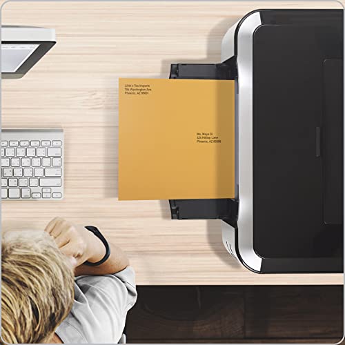 Quality Park 9" x 12" Self-Seal Catalog Envelopes, for Mailing, Organizing and Storage, Brown Kraft, Heavy 28-lb Paper, 100 Per Box (QUA44562)