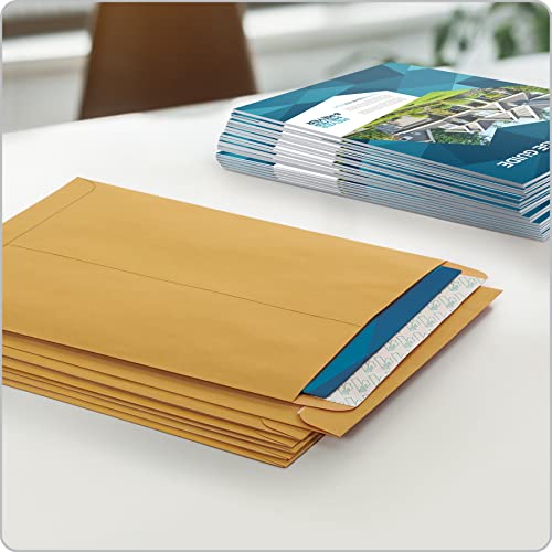 Quality Park 9" x 12" Self-Seal Catalog Envelopes, for Mailing, Organizing and Storage, Brown Kraft, Heavy 28-lb Paper, 100 Per Box (QUA44562)