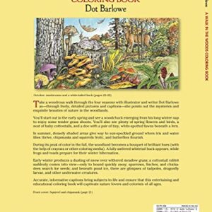 A Walk in the Woods (Dover Nature Coloring Book)