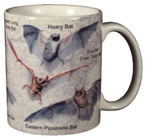 wild cotton bats of north america 11 ounce ceramic coffee mug (wc401m)