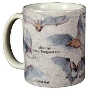 WILD COTTON Bats of North America 11 Ounce Ceramic Coffee Mug (WC401M)