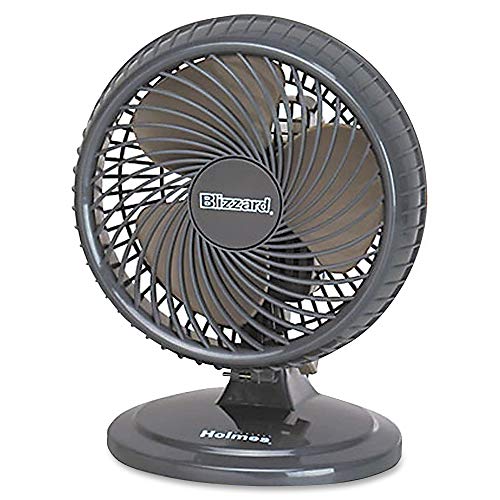 Holmes 8-Inch Fan | Lil’ Blizzard Oscillating Table Fan, Black