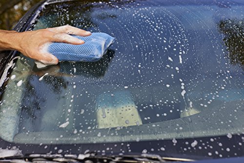 VIKING Mesh Bug Cleaning Car Wash Sponge, Colors Vary - 4 in. x 6 in.