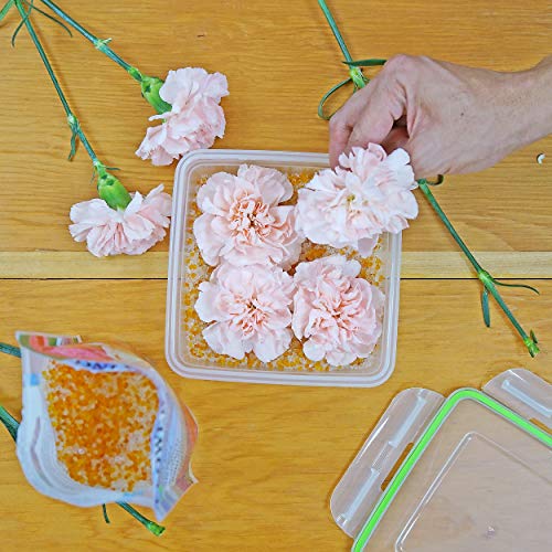 Flower Drying Crystals DRYFLO15, 1.5-Pounds / 0.68 KG of Silica Gel Preserving Wedding, 1-Pack