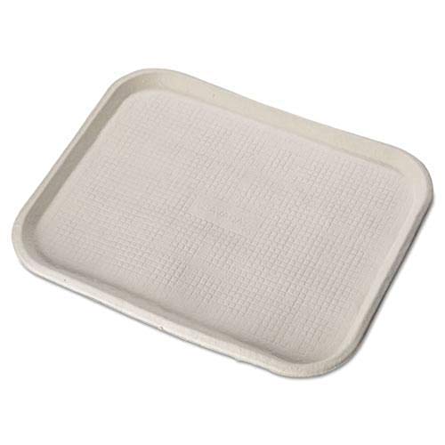 Chinet 20804 Savaday Molded Fiber Flat Tray, 18" Length x 14" Width, White (Case of 100)