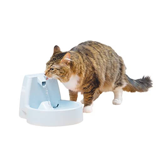 The PetSafe Drinkwell Original Automatic Cat Water Fountain or Dog Water Dispenser - 50 oz Capacity of Fresh, Filtered Water - Pet Fountain with Filter Included
