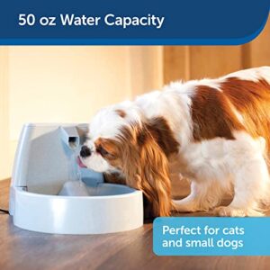 The PetSafe Drinkwell Original Automatic Cat Water Fountain or Dog Water Dispenser - 50 oz Capacity of Fresh, Filtered Water - Pet Fountain with Filter Included