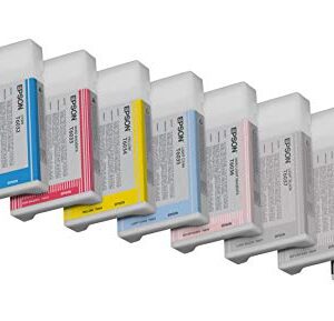 Epson UltraChrome K3 Ink Cartridge - 220ml Photo Black (T603100)