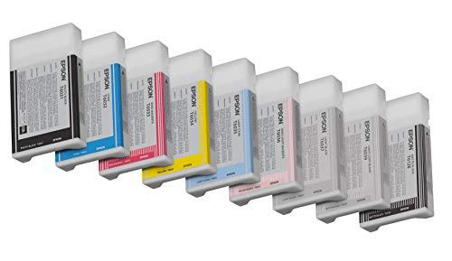 Epson UltraChrome K3 Ink Cartridge - 220ml Photo Black (T603100)