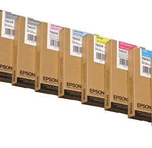 Epson UltraChrome K3 Ink Cartridge - 220ml Photo Black (T603100)