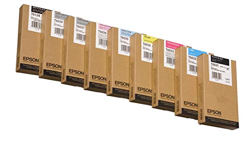 Epson UltraChrome K3 Ink Cartridge - 220ml Photo Black (T603100)