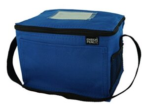 insulated lunch bag (blue)