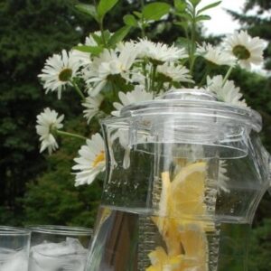 Prodyne Fruit Infusion Flavor Pitcher