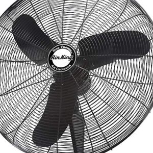 Air King 9075 30-Inch Industrial Grade Oscillating Wall Mount Fan, 1/3-Horsepower, Black Finish