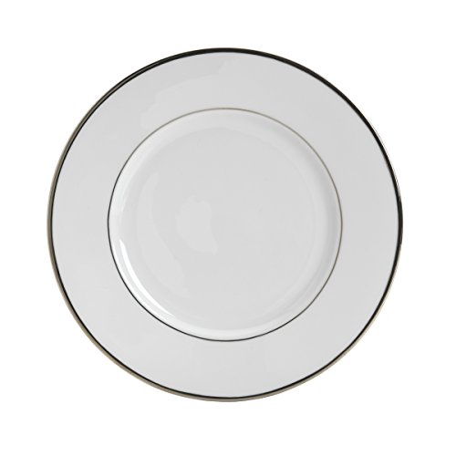 Mikasa Cameo Platinum 40-Piece Dinnerware Set, Service for 8
