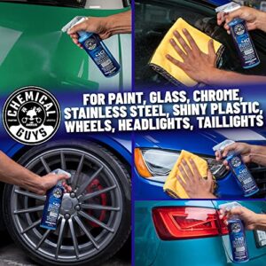 Chemical Guys WAC_114_16 P40 Detailer Quick Detailer and UV Protectant (16 oz)