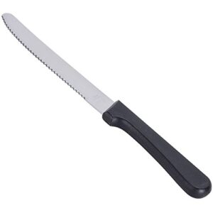 Round Tip Steak Knife with Plastic Handle, 5 Inch Blade -- 12 per Case
