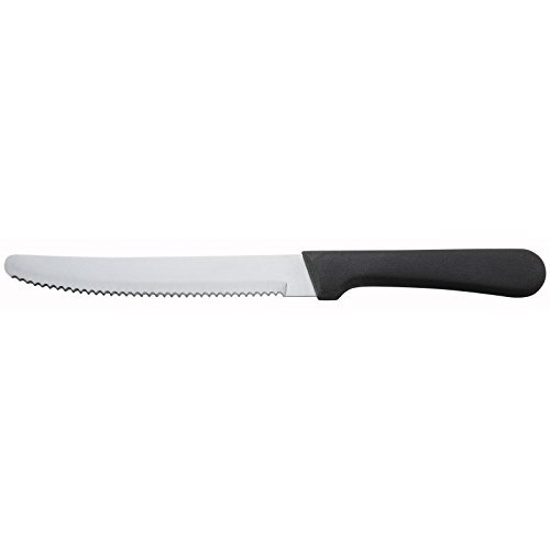 Round Tip Steak Knife with Plastic Handle, 5 Inch Blade -- 12 per Case