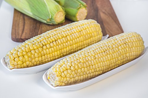 Fox Run Corn on the Cob Dish, Set of 2, White Trays