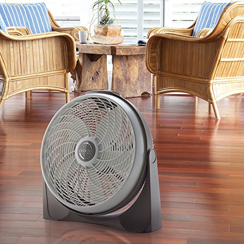 Lasko 3542 20" Cyclone Fan with Remote Control, Beige