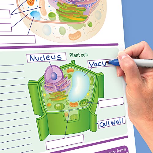 NewPath Learning 10 Piece Mastering Middle School Life Science Curriculum Mastery Flip Chart Set, Grade 5-9 Multi, 12 L X 18 W in