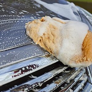 Mothers Premium Sheepskin Lambs Wool Car Wash Mitt, Scratch Free