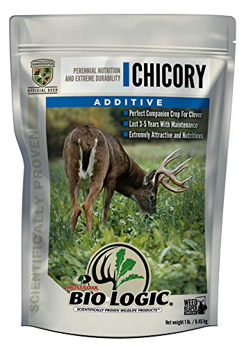 BioLogic Chicory Additive Feeder, 1-Pound