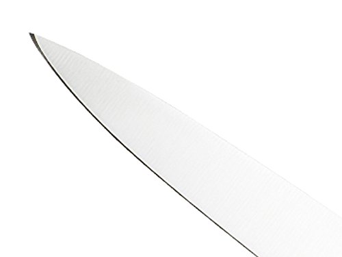 Mercer Culinary M23580 Renaissance, 10-Inch Carving Knife