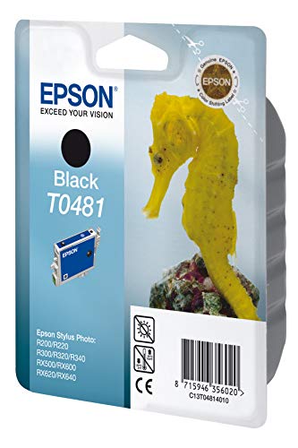 Epson Stylus Photo R300 Ink Cartridge - Black