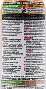 Bar's Leaks 1109 Block Seal Liquid Copper Intake and Radiator Stop Leak - 18 oz.