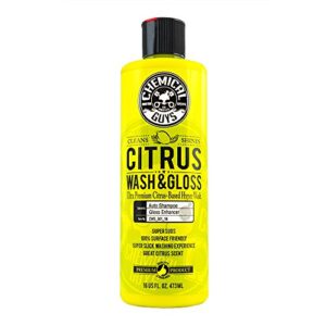 chemical guys cws_301_16 citrus wash & gloss foaming car wash soap (works with foam cannons, foam guns or bucket washes) safe for cars, trucks, motorcycles, rvs & more, 16 fl oz, citrus scent