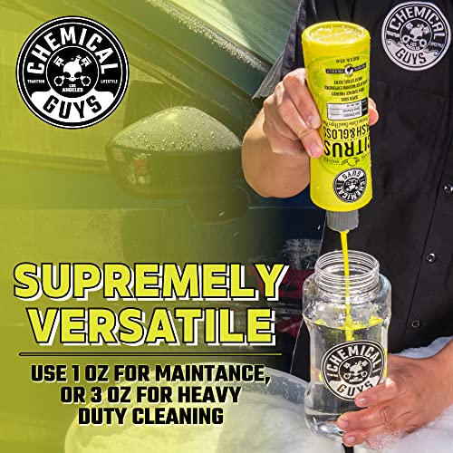 Chemical Guys CWS_301_16 Citrus Wash & Gloss Foaming Car Wash Soap (Works with Foam Cannons, Foam Guns or Bucket Washes) Safe for Cars, Trucks, Motorcycles, RVs & More, 16 fl oz, Citrus Scent