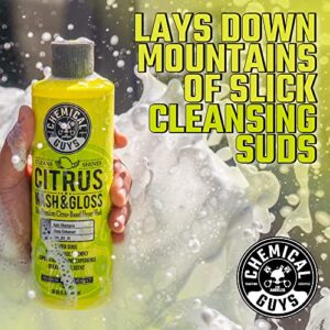 Chemical Guys CWS_301_16 Citrus Wash & Gloss Foaming Car Wash Soap (Works with Foam Cannons, Foam Guns or Bucket Washes) Safe for Cars, Trucks, Motorcycles, RVs & More, 16 fl oz, Citrus Scent