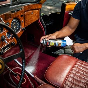 Stoner Car Care 91144 18-Ounce Upholstery and Carpet Cleaner Spray for Interior Car Care Lifts Tough Stains with Powerful Foaming Action, Pack of 1