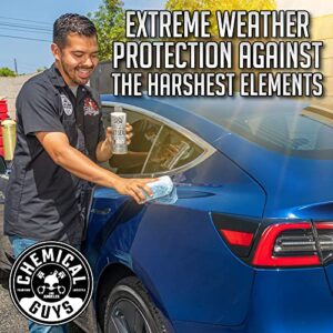 Chemical Guys WAC_118_16 JetSeal Anti-Corrosion Sealant and Paint Protectant, Safe for Cars, Trucks, SUVs, Motorcycles, RVs & More, (16 fl oz), White