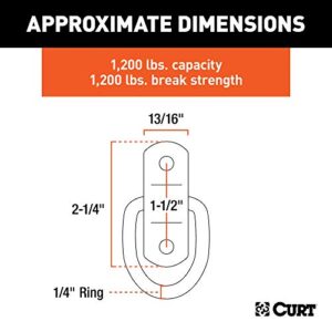 CURT 83732 1 x 1-1/4-Inch Surface-Mounted Stainless Steel Trailer D-Ring Tie Down Anchor, 1,200 lbs Capacity