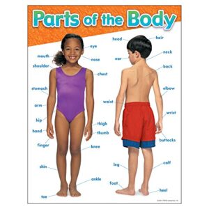 trend enterprises, inc. parts of the body learning chart, 17″ x 22″
